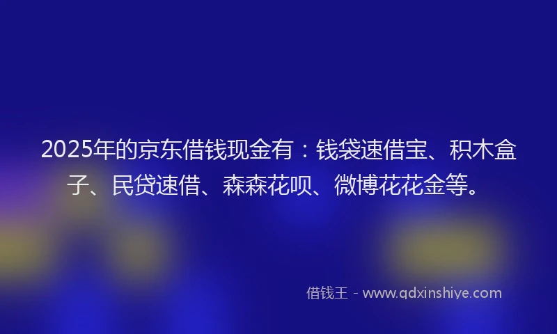2025年的京东借钱现金有：钱袋速借宝、积木盒子、民贷速借、森森花呗、微博花花金等。