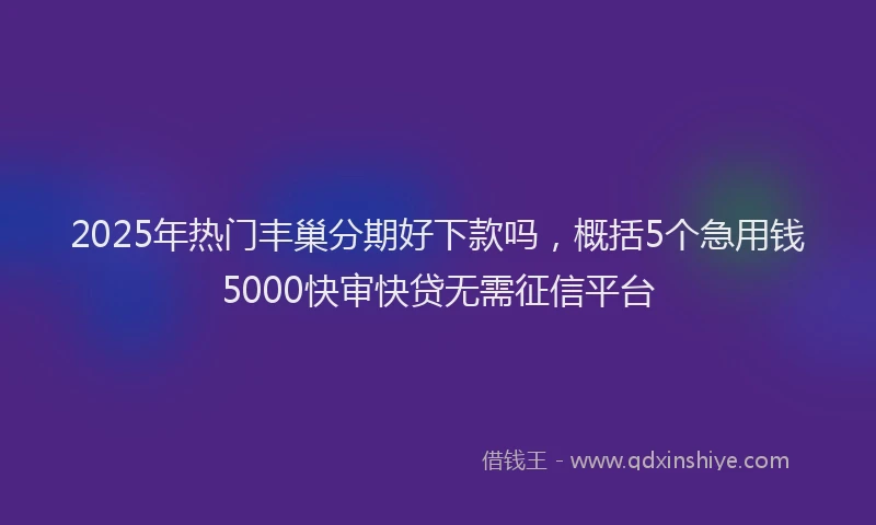 2025年热门丰巢分期好下款吗，概括5个急用钱5000快审快贷无需征信平台