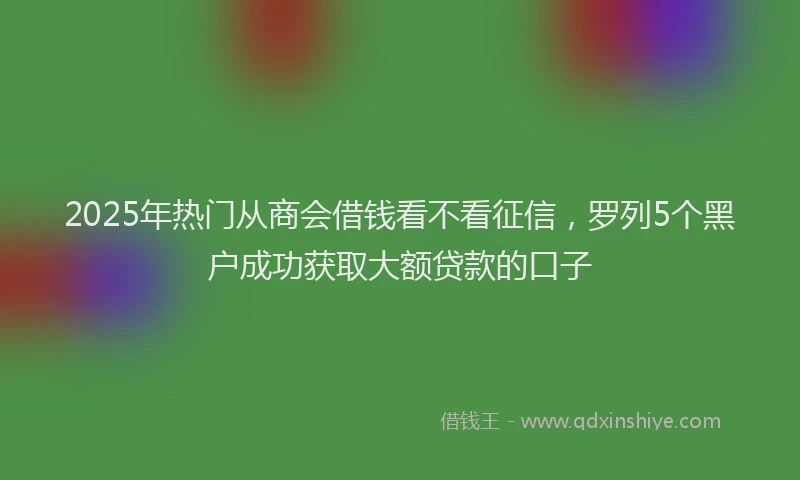 2025年热门从商会借钱看不看征信，罗列5个黑户成功获取大额贷款的口子