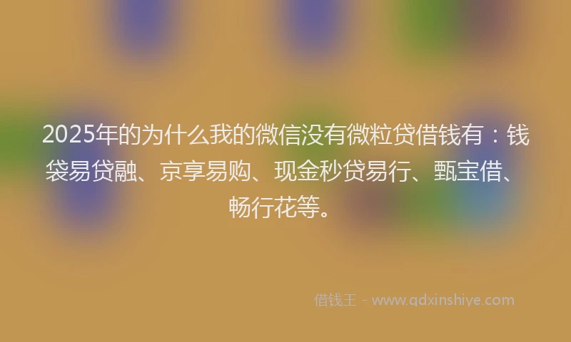 2025年的为什么我的微信没有微粒贷借钱有：钱袋易贷融、京享易购、现金秒贷易行、甄宝借、畅行花等。