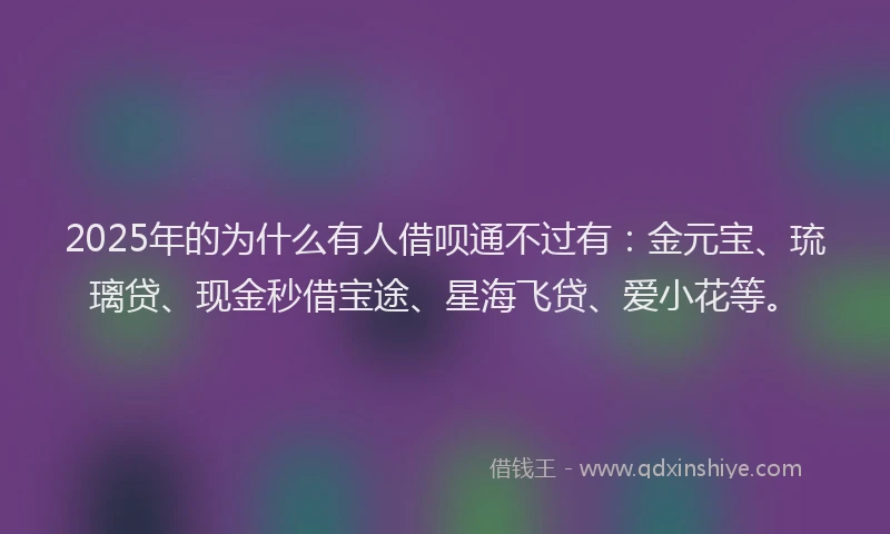 2025年的为什么有人借呗通不过有：金元宝、琉璃贷、现金秒借宝途、星海飞贷、爱小花等。