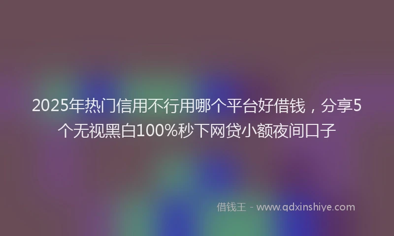 2025年热门信用不行用哪个平台好借钱，分享5个无视黑白100%秒下网贷小额夜间口子