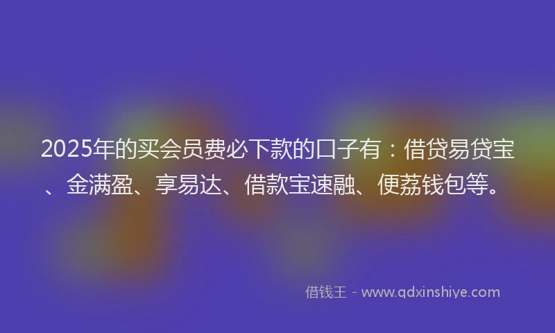 2025年的买会员费必下款的口子有：借贷易贷宝、金满盈、享易达、借款宝速融、便荔钱包等。