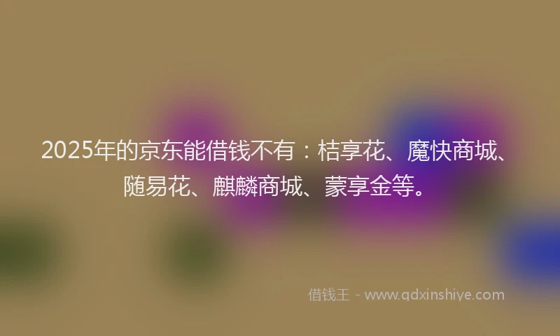 2025年的京东能借钱不有：桔享花、魔快商城、随易花、麒麟商城、蒙享金等。