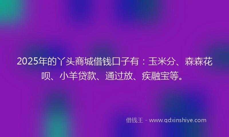 2025年的丫头商城借钱口子有：玉米分、森森花呗、小羊贷款、通过放、疾融宝等。