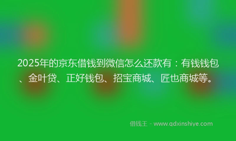 2025年的京东借钱到微信怎么还款有：有钱钱包、金叶贷、正好钱包、招宝商城、匠也商城等。