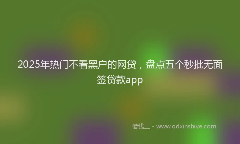 2025年热门不看黑户的网贷，盘点五个秒批无面签贷款app