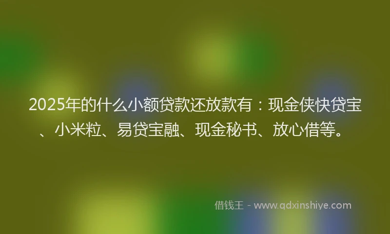 2025年的什么小额贷款还放款有：现金侠快贷宝、小米粒、易贷宝融、现金秘书、放心借等。
