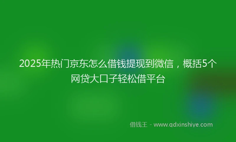 2025年热门京东怎么借钱提现到微信，概括5个网贷大口子轻松借平台