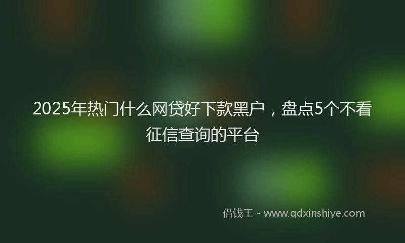 2025年热门什么网贷好下款黑户，盘点5个不看征信查询的平台