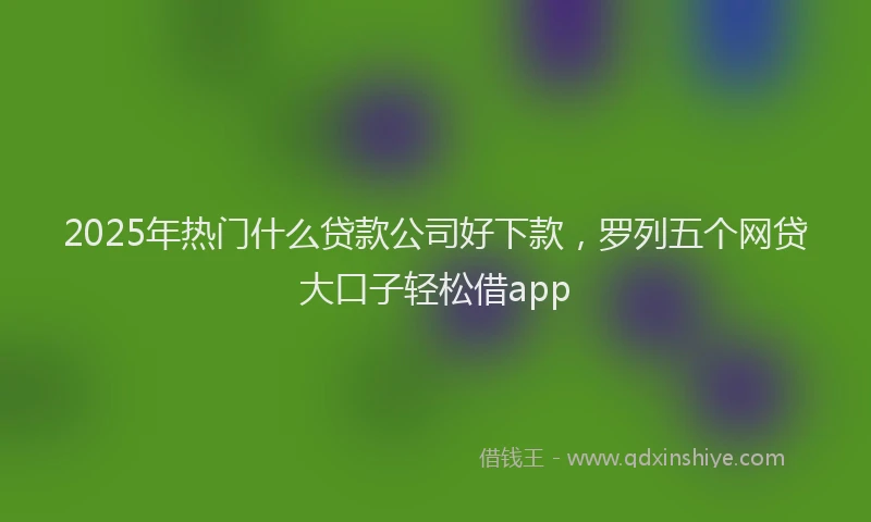 2025年热门什么贷款公司好下款，罗列五个网贷大口子轻松借app