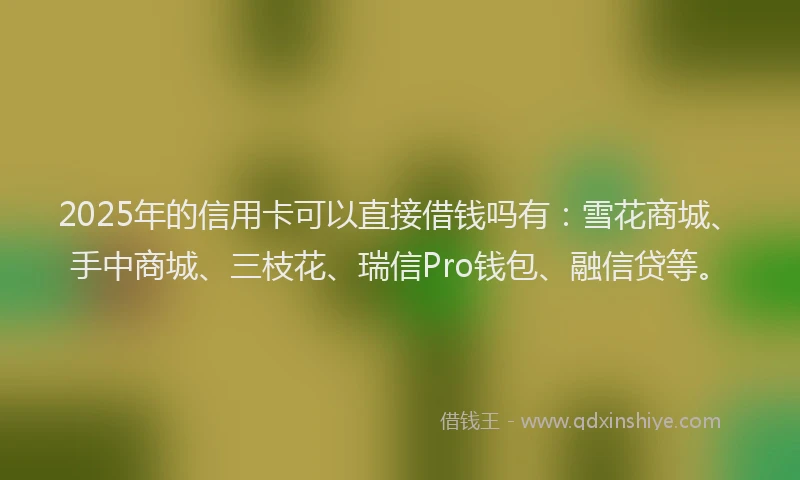 2025年的信用卡可以直接借钱吗有：雪花商城、手中商城、三枝花、瑞信Pro钱包、融信贷等。