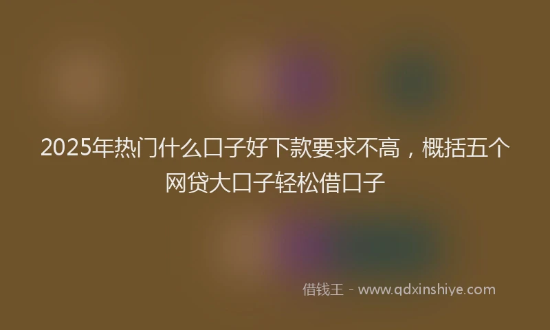 2025年热门什么口子好下款要求不高，概括五个网贷大口子轻松借口子
