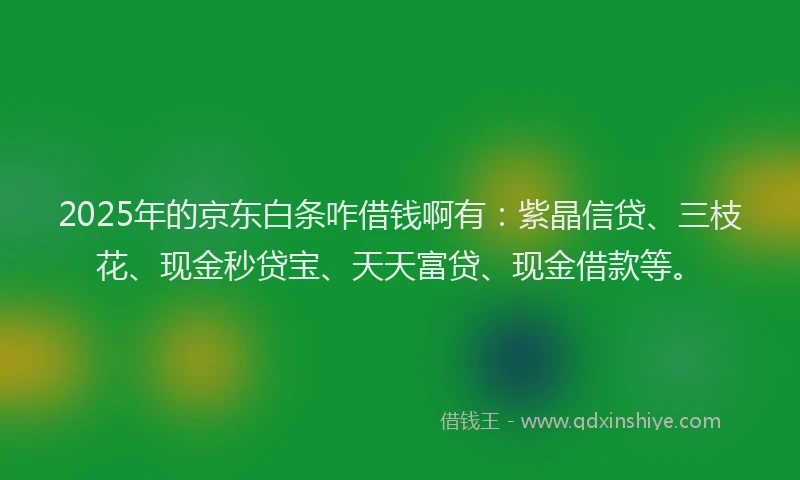 2025年的京东白条咋借钱啊有：紫晶信贷、三枝花、现金秒贷宝、天天富贷、现金借款等。
