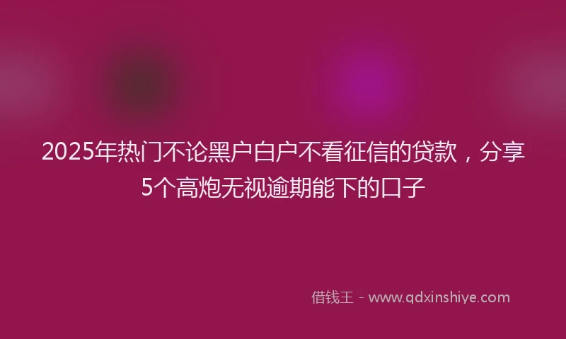 2025年热门不论黑户白户不看征信的贷款，分享5个高炮无视逾期能下的口子