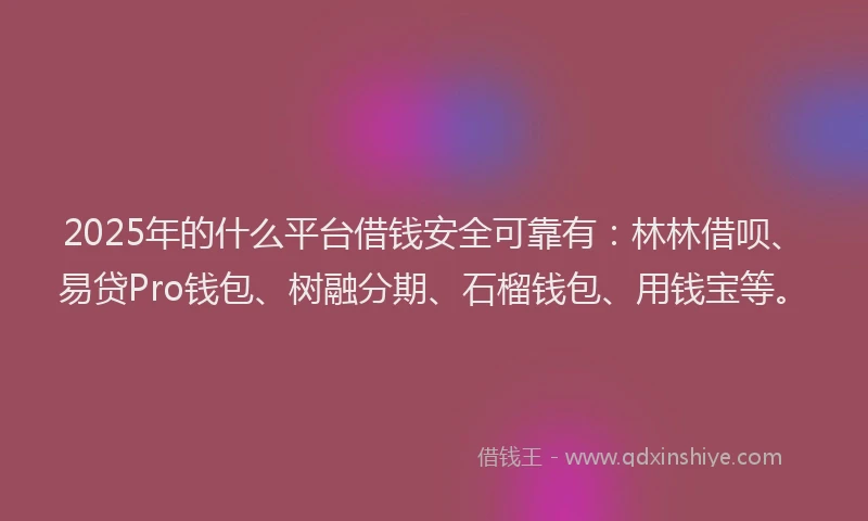 2025年的什么平台借钱安全可靠有：林林借呗、易贷Pro钱包、树融分期、石榴钱包、用钱宝等。