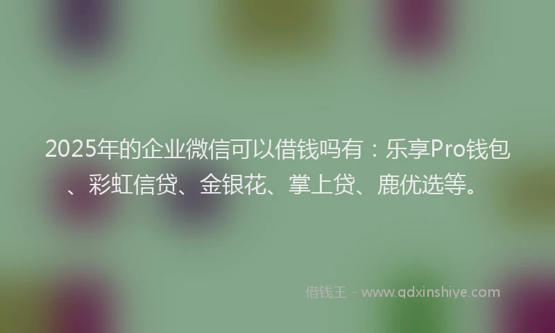2025年的企业微信可以借钱吗有：乐享Pro钱包、彩虹信贷、金银花、掌上贷、鹿优选等。