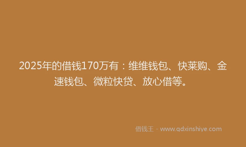 2025年的借钱170万有：维维钱包、快莱购、金速钱包、微粒快贷、放心借等。