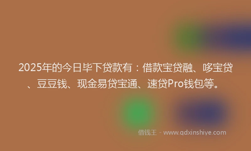 2025年的今日毕下贷款有：借款宝贷融、哆宝贷、豆豆钱、现金易贷宝通、速贷Pro钱包等。