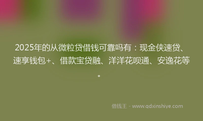 2025年的从微粒贷借钱可靠吗有：现金侠速贷、速享钱包+、借款宝贷融、洋洋花呗通、安逸花等。