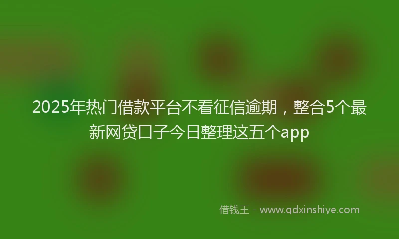 2025年热门借款平台不看征信逾期，整合5个最新网贷口子今日整理这五个app
