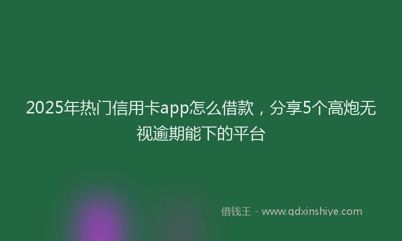 2025年热门信用卡app怎么借款，分享5个高炮无视逾期能下的平台