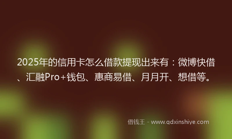 2025年的信用卡怎么借款提现出来有：微博快借、汇融Pro+钱包、惠商易借、月月开、想借等。