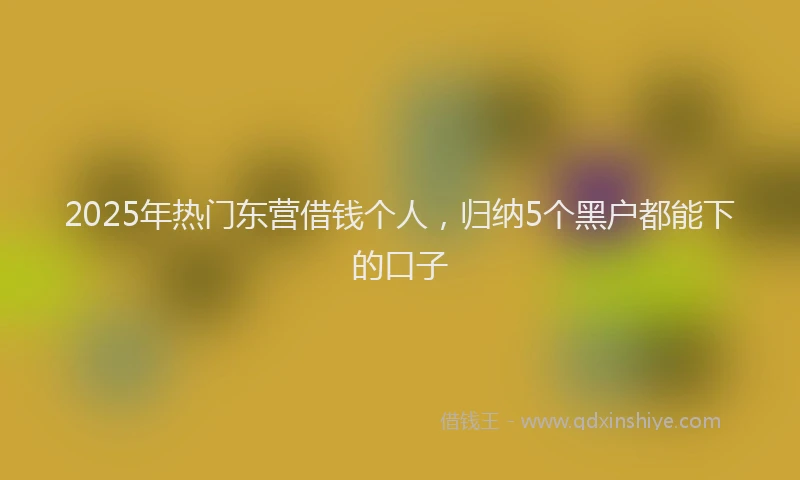 2025年热门东营借钱个人，归纳5个黑户都能下的口子