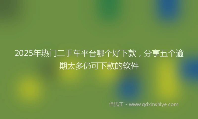2025年热门二手车平台哪个好下款，分享五个逾期太多仍可下款的软件