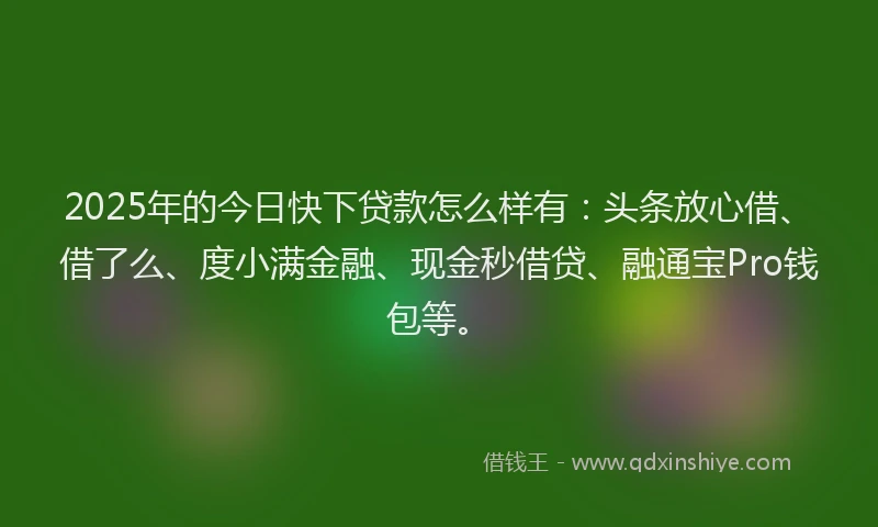 2025年的今日快下贷款怎么样有：头条放心借、借了么、度小满金融、现金秒借贷、融通宝Pro钱包等。