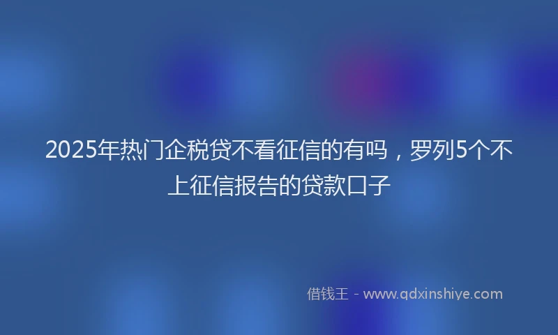 2025年热门企税贷不看征信的有吗，罗列5个不上征信报告的贷款口子