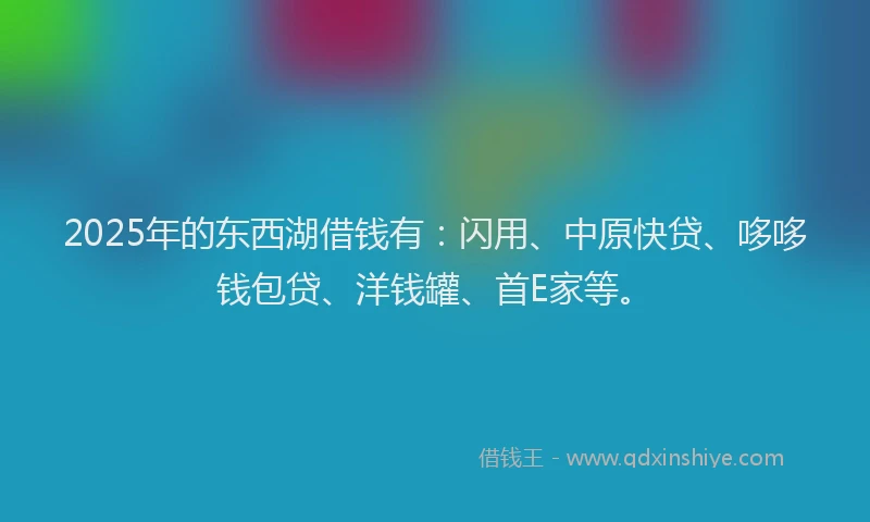 2025年的东西湖借钱有：闪用、中原快贷、哆哆钱包贷、洋钱罐、首E家等。
