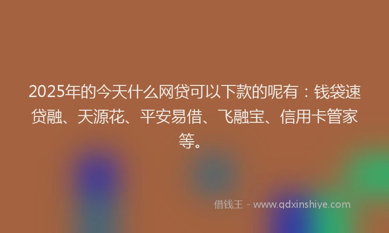 2025年的今天什么网贷可以下款的呢有：钱袋速贷融、天源花、平安易借、飞融宝、信用卡管家等。