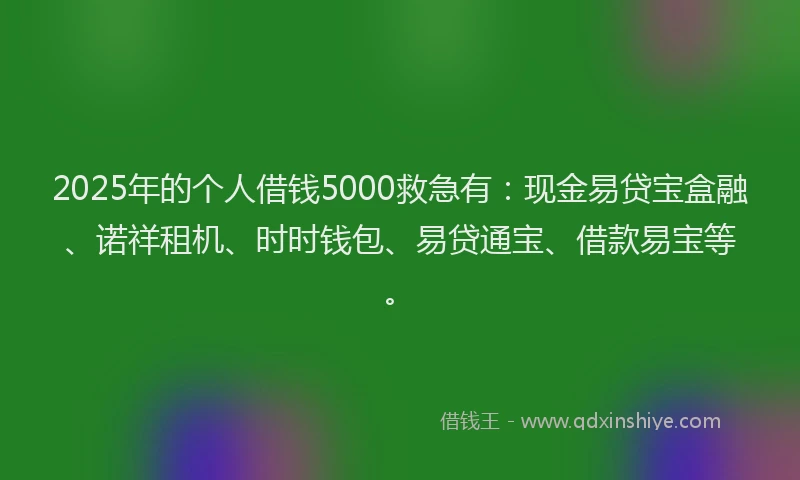 2025年的个人借钱5000救急有：现金易贷宝盒融、诺祥租机、时时钱包、易贷通宝、借款易宝等。