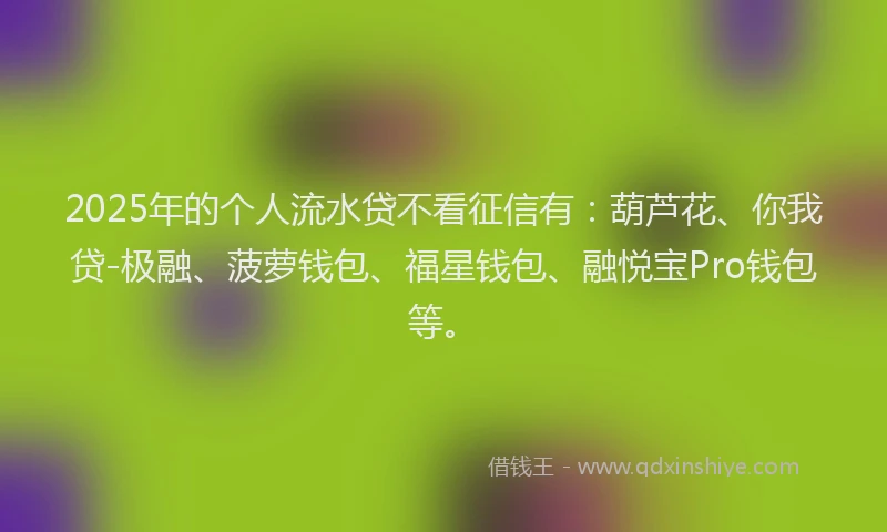 2025年的个人流水贷不看征信有：葫芦花、你我贷-极融、菠萝钱包、福星钱包、融悦宝Pro钱包等。