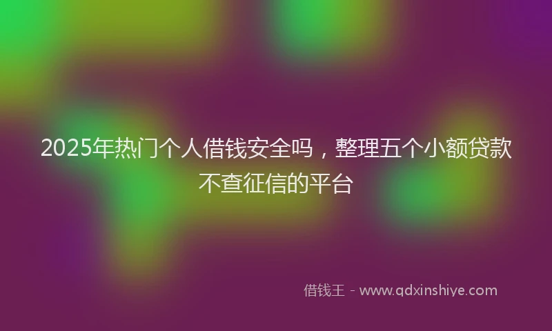 2025年热门个人借钱安全吗，整理五个小额贷款不查征信的平台