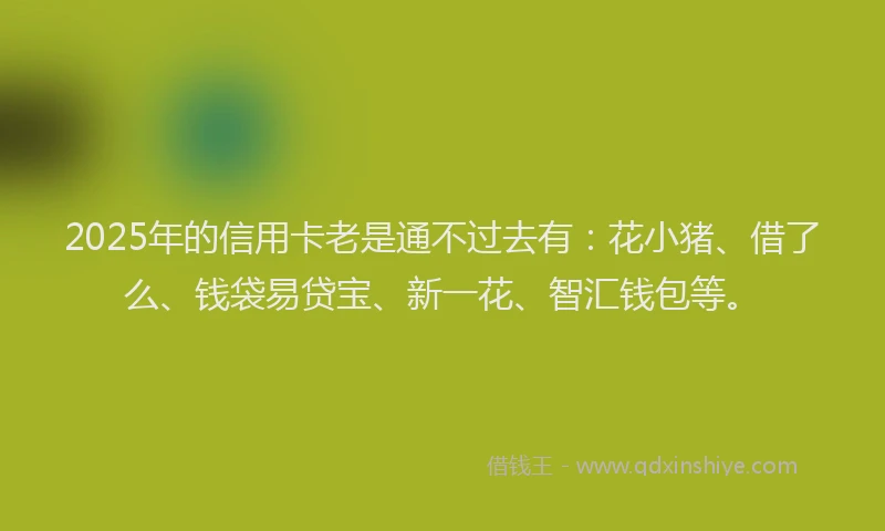 2025年的信用卡老是通不过去有：花小猪、借了么、钱袋易贷宝、新一花、智汇钱包等。