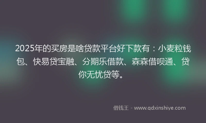 2025年的买房是啥贷款平台好下款有：小麦粒钱包、快易贷宝融、分期乐借款、森森借呗通、贷你无忧贷等。