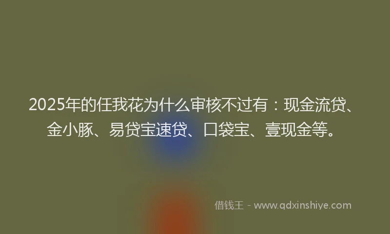 2025年的任我花为什么审核不过有：现金流贷、金小豚、易贷宝速贷、口袋宝、壹现金等。