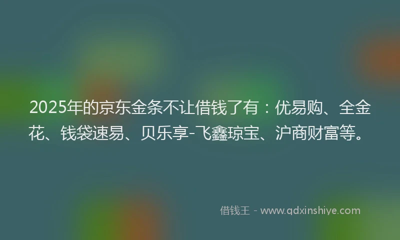 2025年的京东金条不让借钱了有：优易购、全金花、钱袋速易、贝乐享-飞鑫琼宝、沪商财富等。