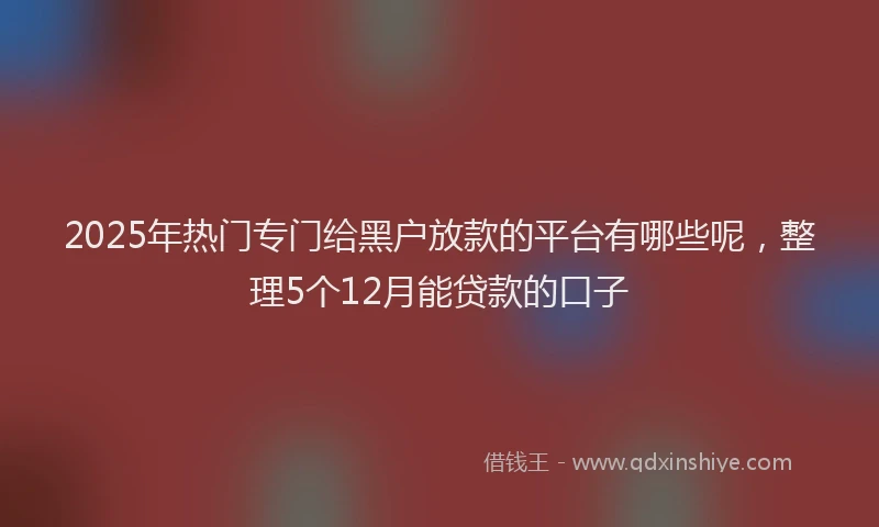 2025年热门专门给黑户放款的平台有哪些呢，整理5个12月能贷款的口子