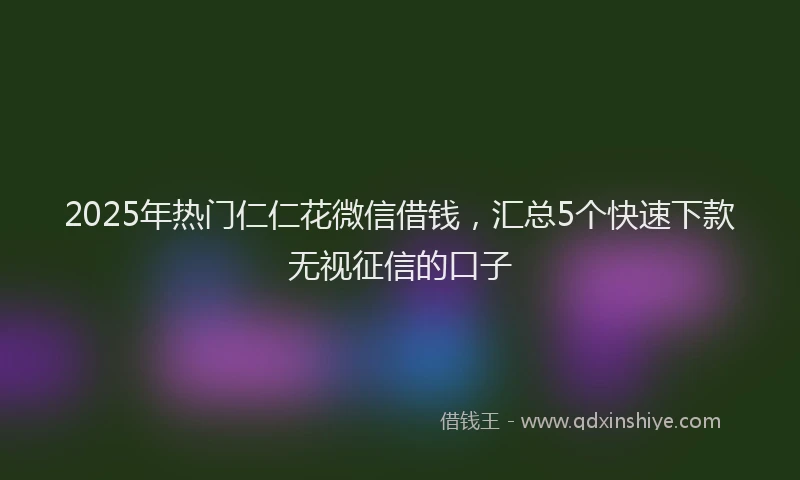 2025年热门仁仁花微信借钱，汇总5个快速下款无视征信的口子
