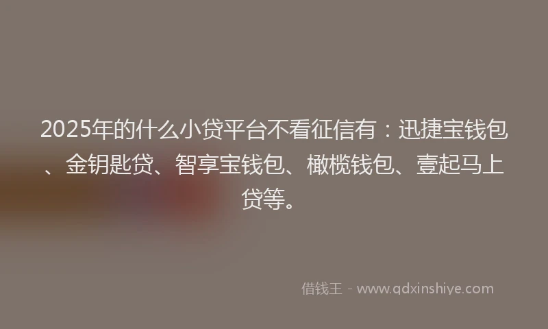 2025年的什么小贷平台不看征信有：迅捷宝钱包、金钥匙贷、智享宝钱包、橄榄钱包、壹起马上贷等。
