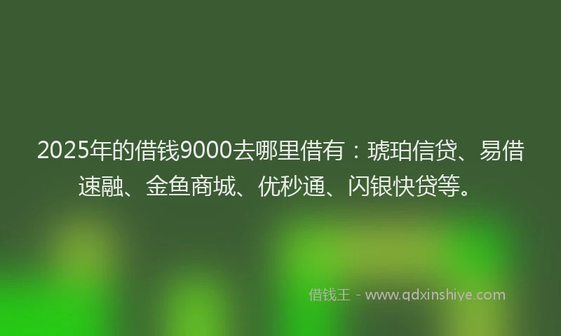2025年的借钱9000去哪里借有：琥珀信贷、易借速融、金鱼商城、优秒通、闪银快贷等。