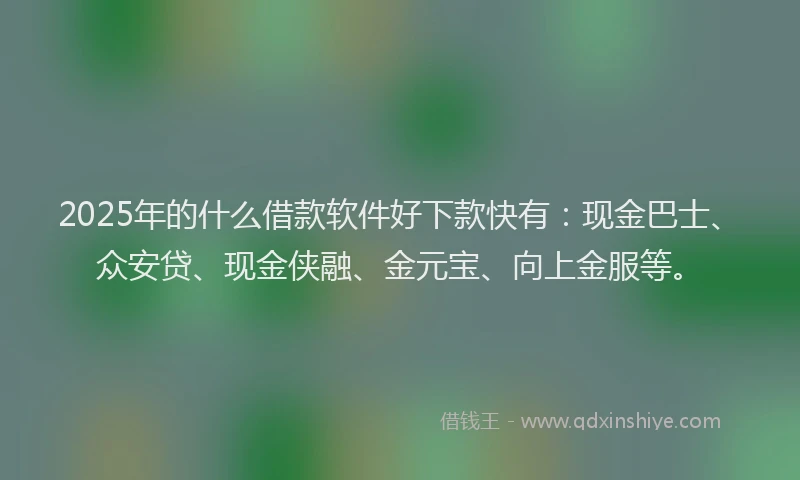 2025年的什么借款软件好下款快有：现金巴士、众安贷、现金侠融、金元宝、向上金服等。
