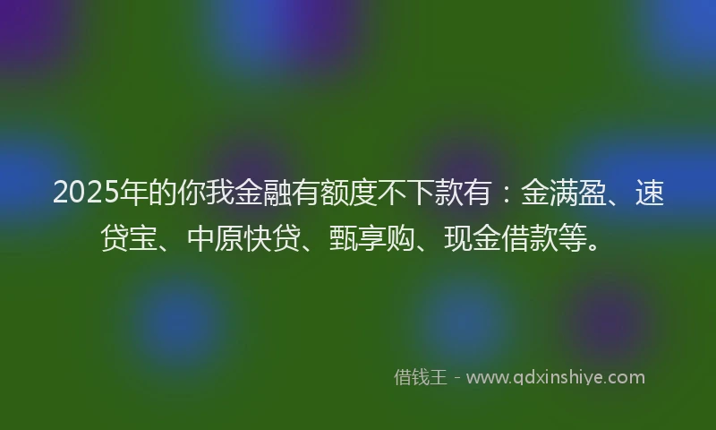 2025年的你我金融有额度不下款有：金满盈、速贷宝、中原快贷、甄享购、现金借款等。