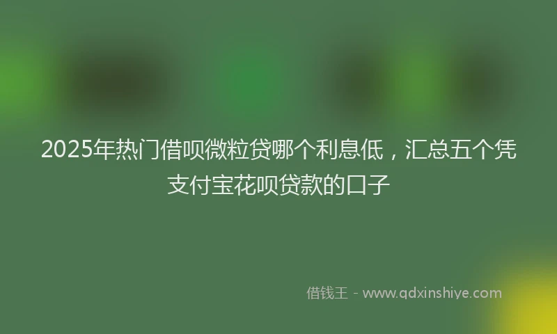 2025年热门借呗微粒贷哪个利息低，汇总五个凭支付宝花呗贷款的口子