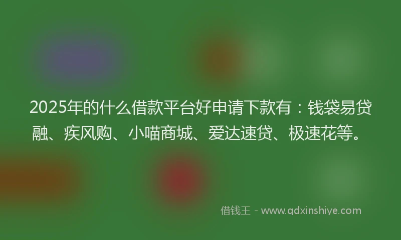 2025年的什么借款平台好申请下款有：钱袋易贷融、疾风购、小喵商城、爱达速贷、极速花等。