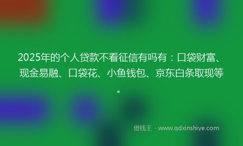 2025年的个人贷款不看征信有吗有：口袋财富、现金易融、口袋花、小鱼钱包、京东白条取现等。