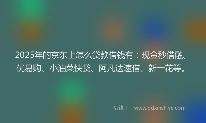 2025年的京东上怎么贷款借钱有：现金秒借融、优易购、小油菜快贷、阿凡达速借、新一花等。